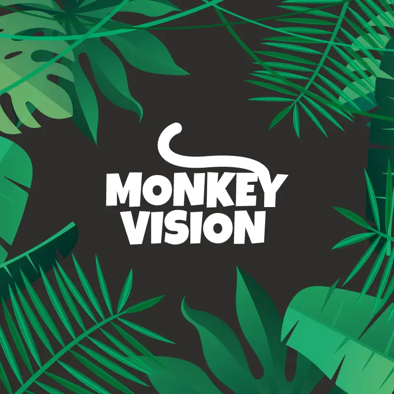 Monkey Vision